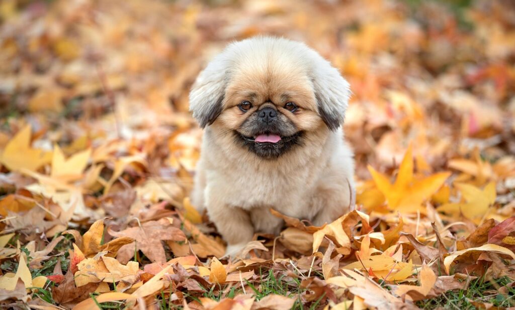 ストレス性口臭の効果的な対処法は？