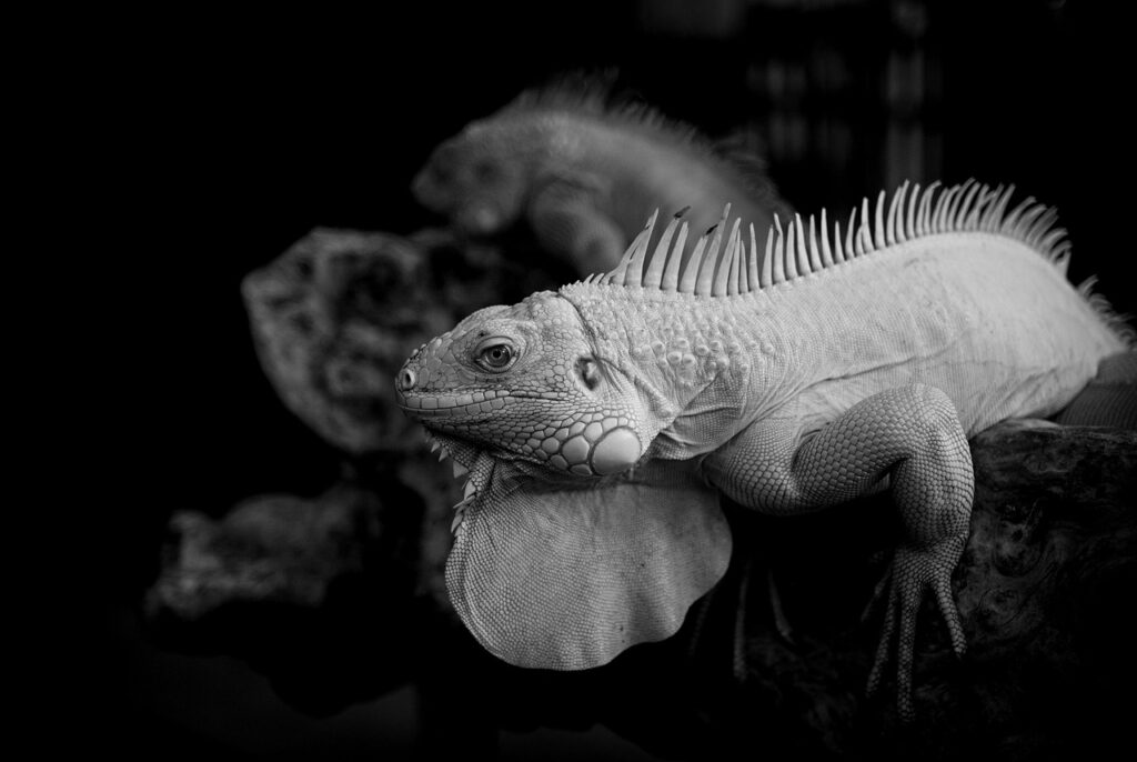 口臭対策に効果的なグッズのおすすめは？