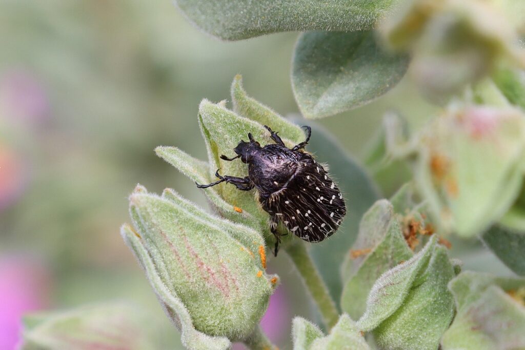 ケトン臭が気になるダイエットの原因とは？