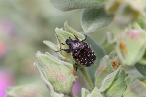 ケトン臭が気になるダイエットの原因とは？