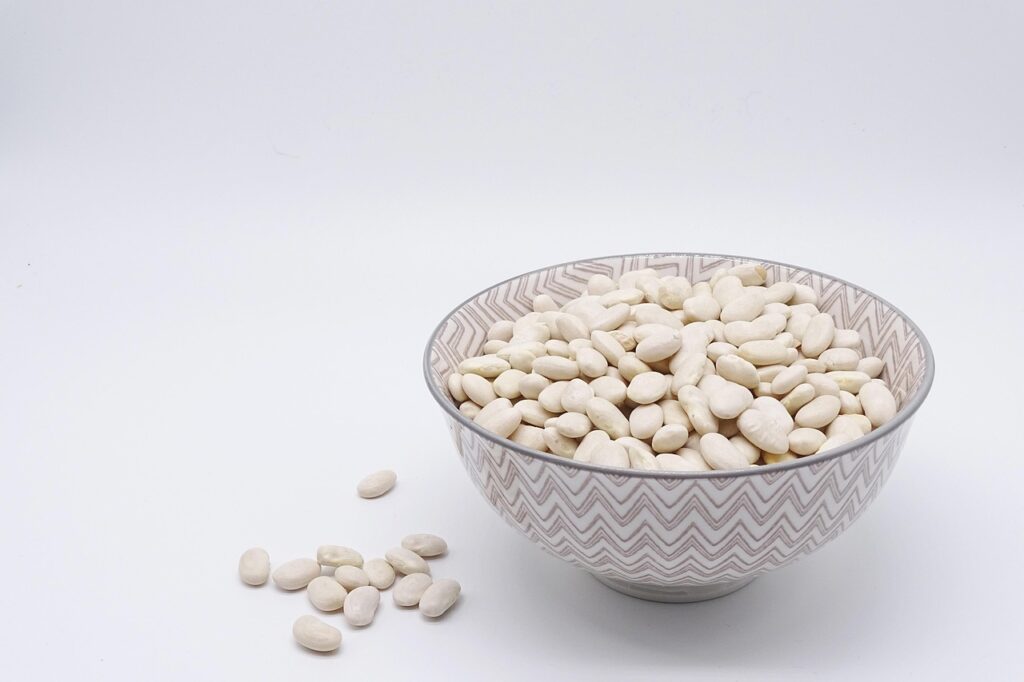 タンパク質の摂りすぎが引き起こす口臭の原因とは？