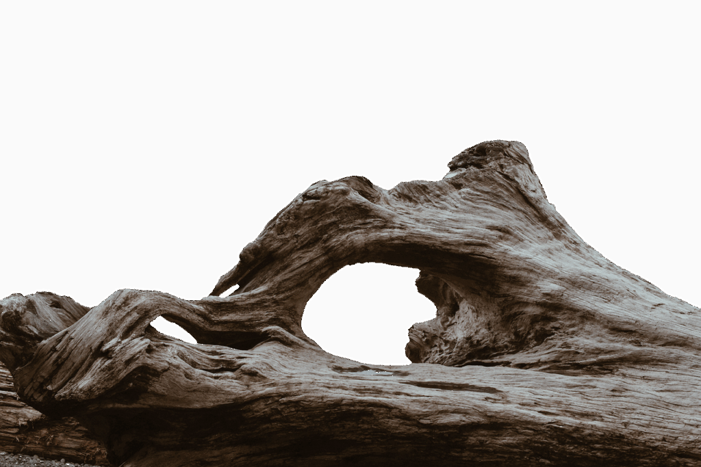卵腐ったような口臭の原因は胃腸の不調なのか？
