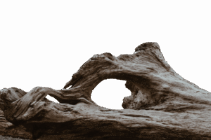 卵腐ったような口臭の原因は胃腸の不調なのか？