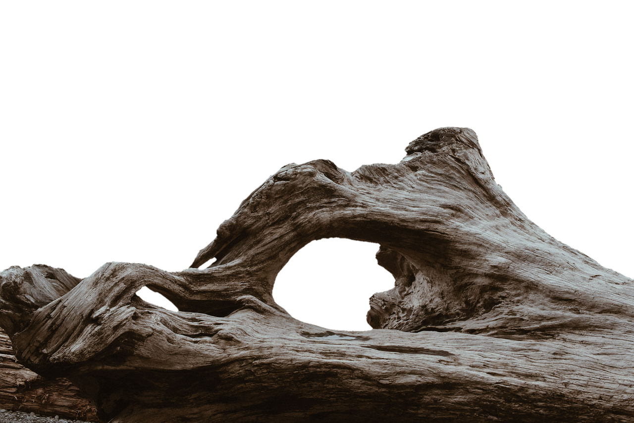 卵腐ったような口臭の原因は胃腸の不調なのか？