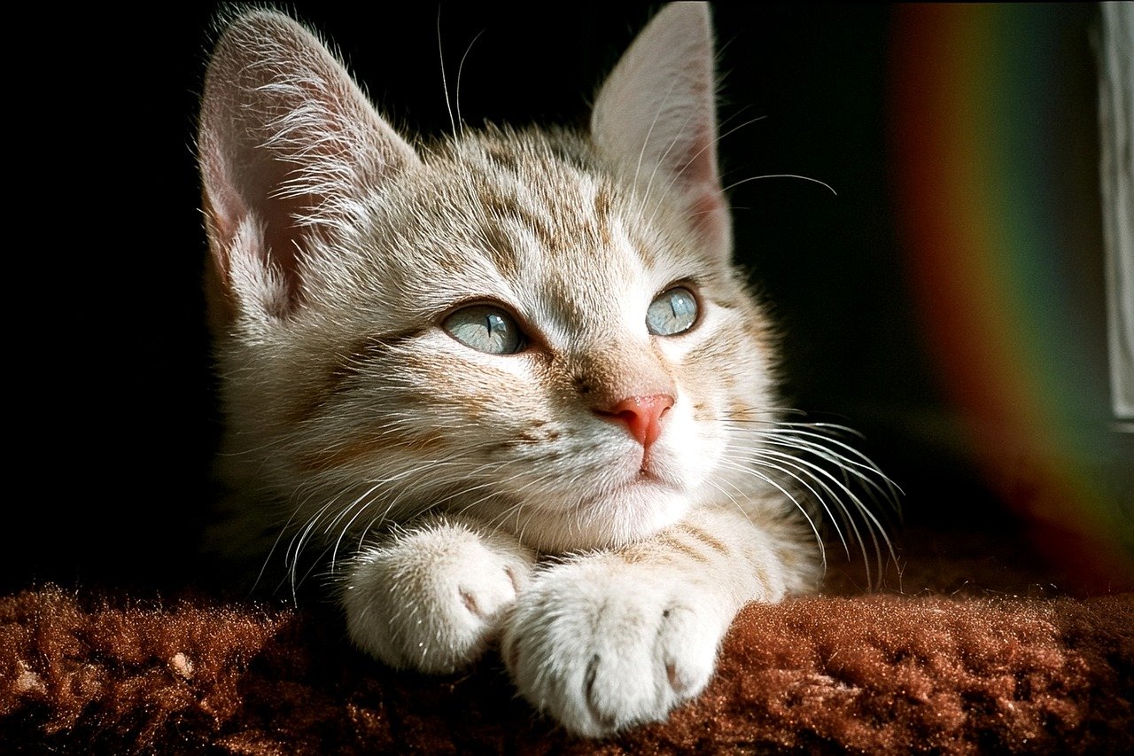 寝起きの口臭が強いのはなぜ？