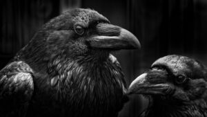 扁桃炎による口臭の原因は何ですか？