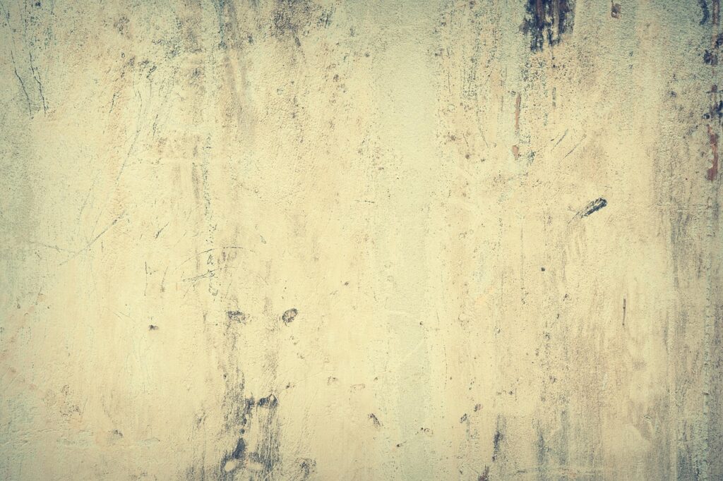 高齢者の口臭の原因とは何ですか？