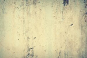 高齢者の口臭の原因とは何ですか？