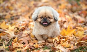 口臭がすぐ治らない原因とは何ですか？