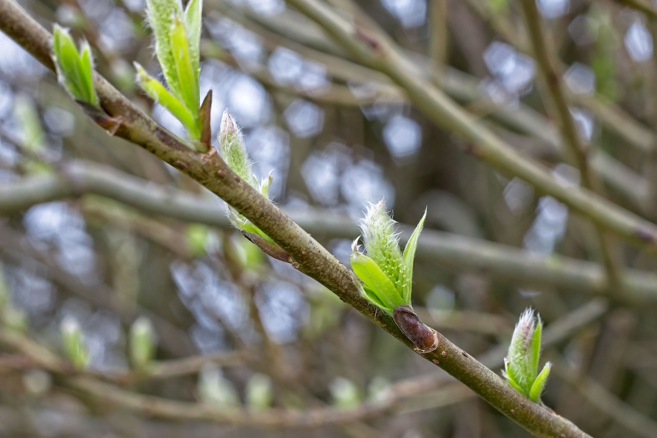 口臭の原因は病気のサインなのか？